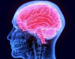 Neurólogo Metges Associats S.l. palma de mallorca