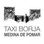 TAXIS: SERVICIOS Y PARADAS Taxi Medina de Pomar Medina de Pomar