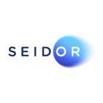 Software ERP: Seidor One Vic